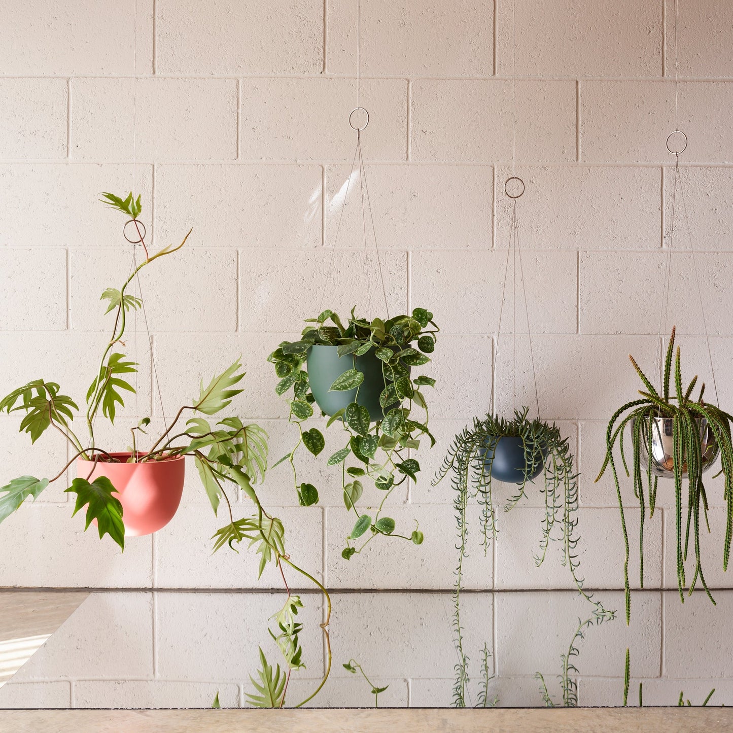 CLIFTON hanging plant pot SMALL