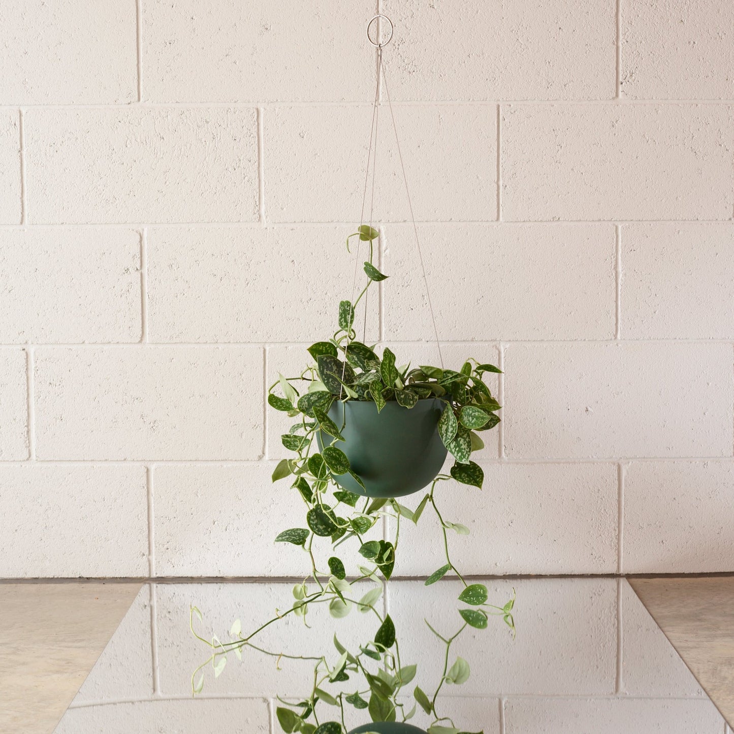 CLIFTON hanging plant pot MEDIUM