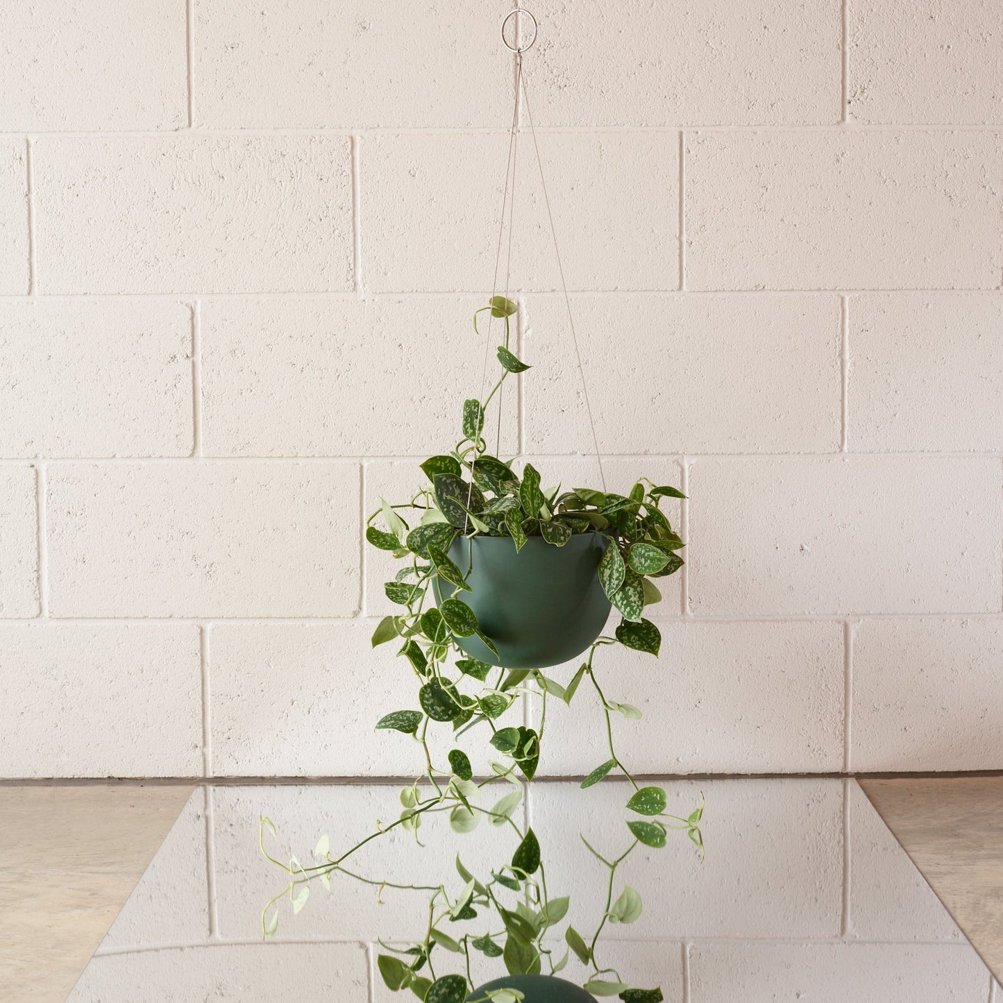 CLIFTON hanging plant pot SMALL