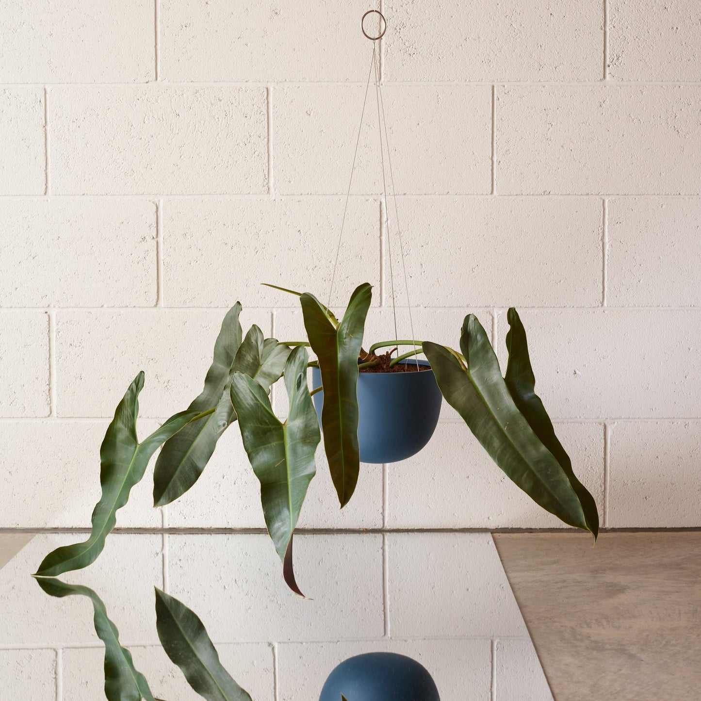 CLIFTON hanging plant pot SMALL