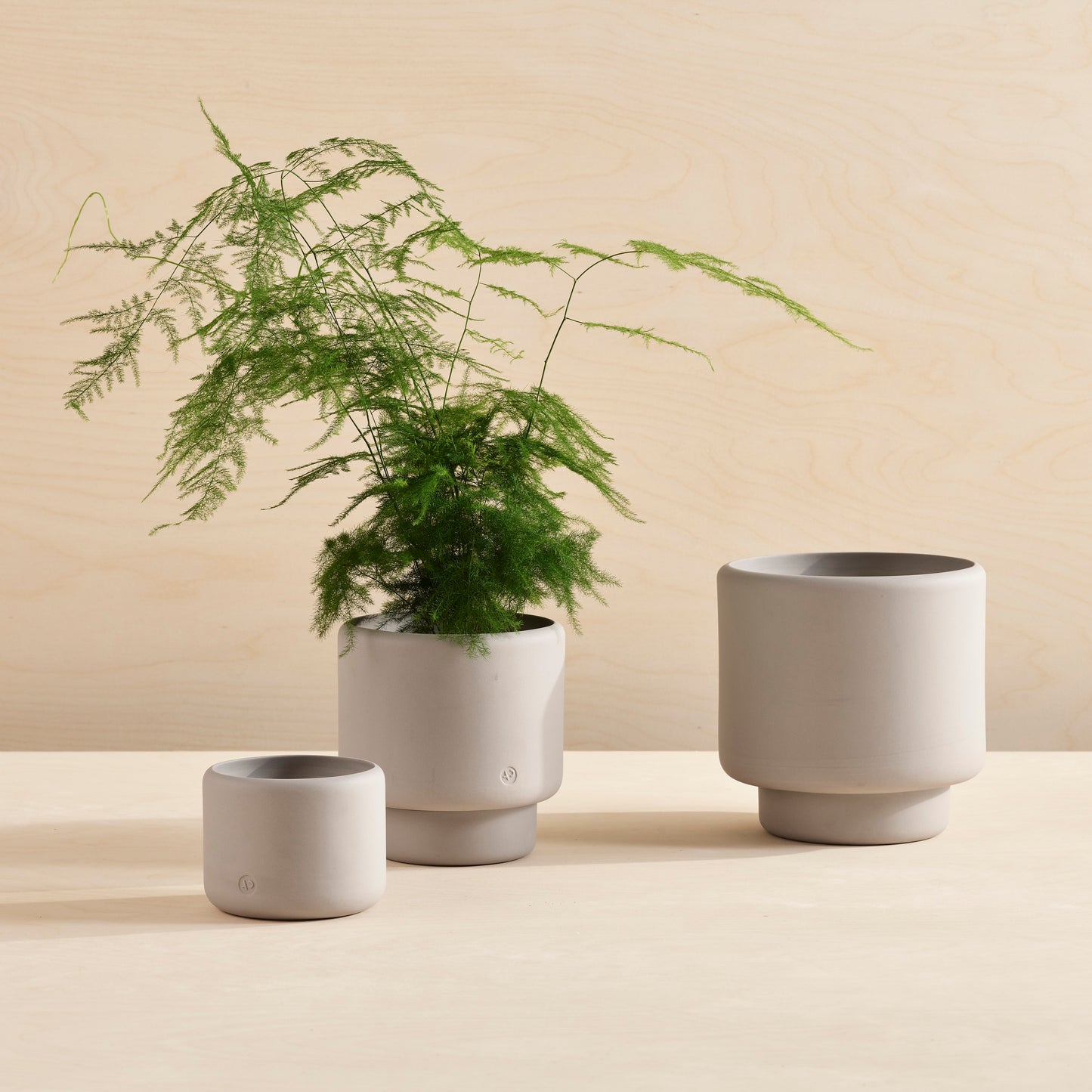 BOTANY Plant Pot, Large