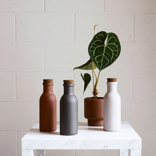 Bouteille d'eau/lait/jus COLOMBO en porcelaine avec liège naturel